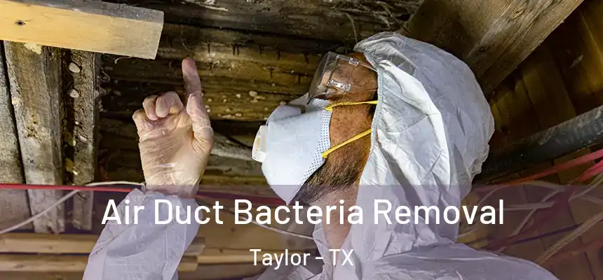  Air Duct Bacteria Removal Taylor - TX