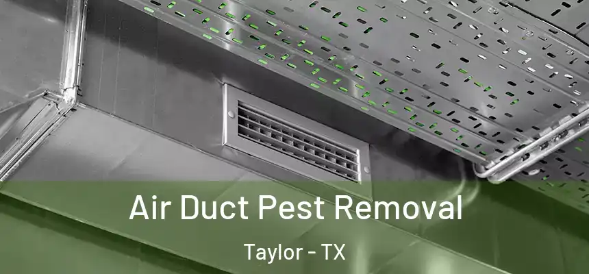  Air Duct Pest Removal Taylor - TX