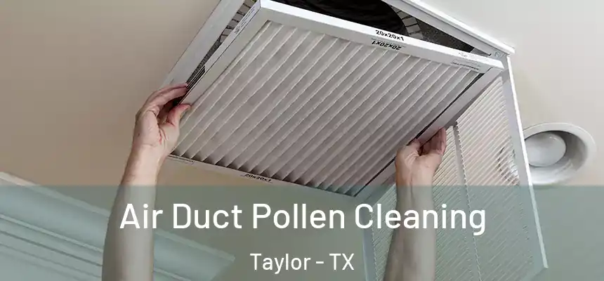 Air Duct Pollen Cleaning Taylor - TX