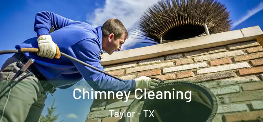  Chimney Cleaning Taylor - TX