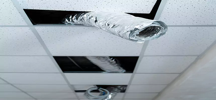 Our Air Duct Pet Hair Removal Services in Taylor, TX