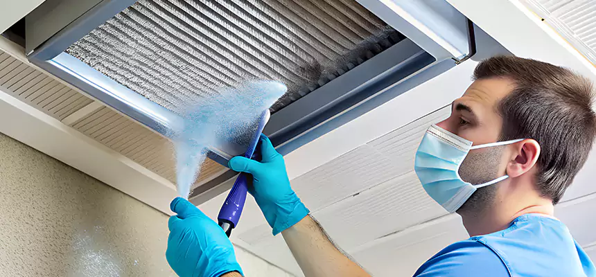 Proactive Dryer Vent & Auxiliary Duct Pollen Cleanup in Taylor, TX