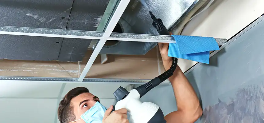 Our Air Duct Rodent Removal Services in Taylor, TX
