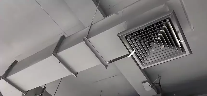 Our Pest Removal From Ducts Services in Taylor, TX