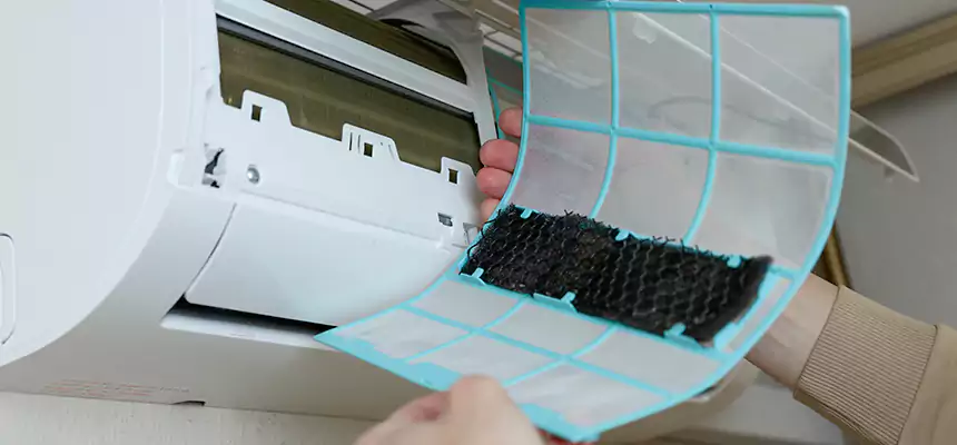 Gentle Ductwork Odor-Control Pet Dander Duct Cleaning in Taylor, TX