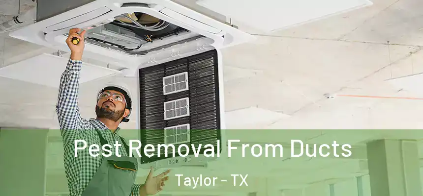  Pest Removal From Ducts Taylor - TX