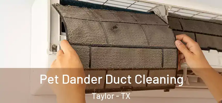  Pet Dander Duct Cleaning Taylor - TX
