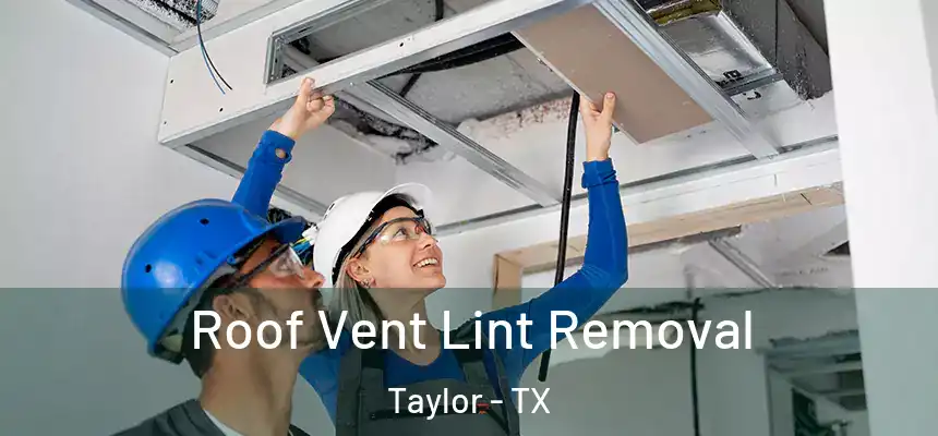 Roof Vent Lint Removal Taylor - TX