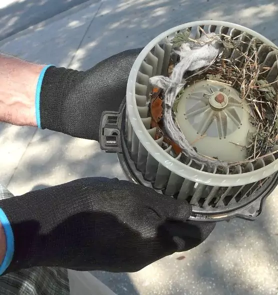 About Air Duct Rat Removal in Taylor, TX