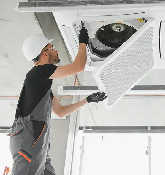 About Air Duct Rodent Removal in Taylor, TX