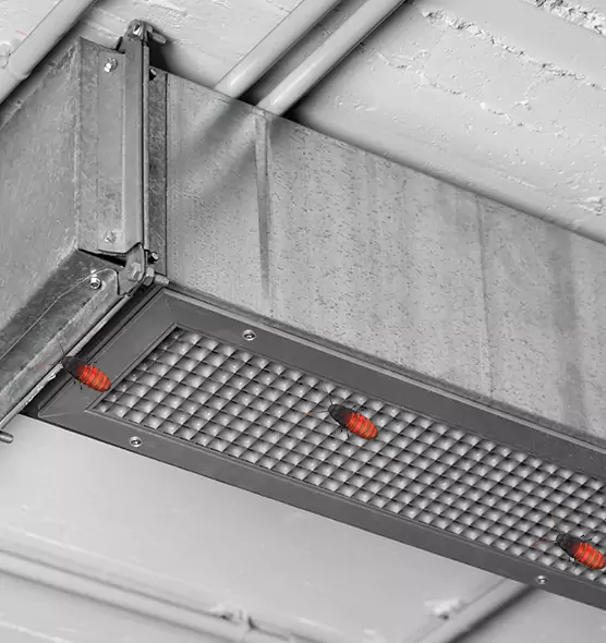 Affordable Insect Removal from Air Ducts in Taylor, TX