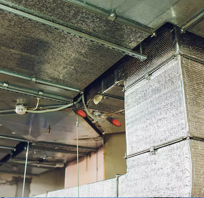 Why Homeowners & Businesses Trust Us in Taylor, TX?