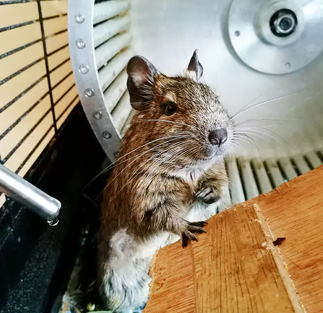 Why Homeowners & Businesses Trust Us Taylor, TX